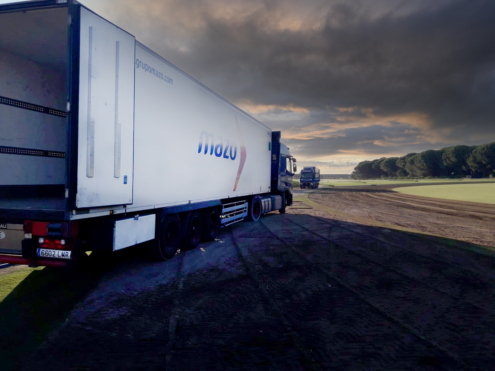 transporte-cesped-badajoz-ibiza-6-copia